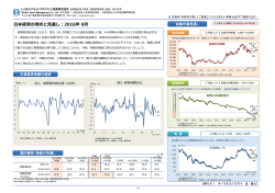 日本経済の現状と見通し：2016年 8月