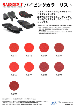 Page 1 SAIGINTパイピングカラーリスト パイピングカラーはお好みの
