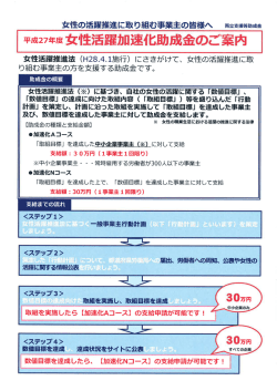 平成27年度女性活躍加速化助成金のご案内