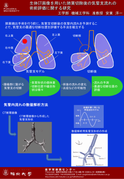 生体CT画像を用いた肺葉切除後の気管支流れの 術前評価に関する研究
