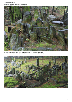 古庭園傑作集② 保国寺（愛媛県西条市）1400 年頃 2 段目の滝の下に横