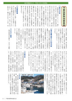 予算決算特別委員会の概要(11ページ) 917KB