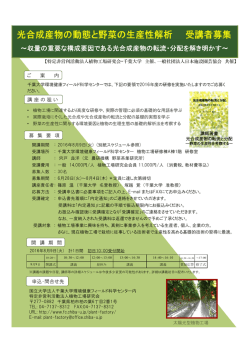 ～収量の重要な構成要因である光合成産物の転流・分配を解き明かす～