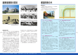 議事堂建築の歴史 都道府県の木