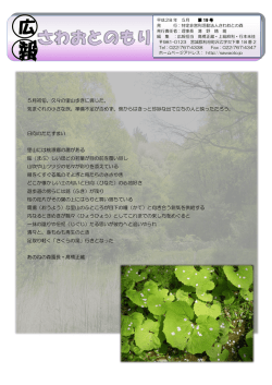 広報さわおとの森19号 - 特定非営利活動法人さわおとの森