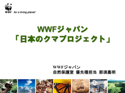 講演資料はこちら（PDF形式）