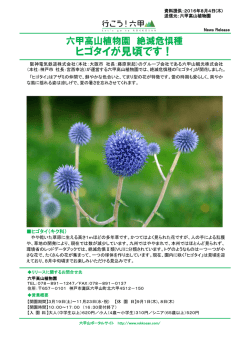 詳しいリリースはこちら - 六甲山ポータルサイト Rokkosan.com