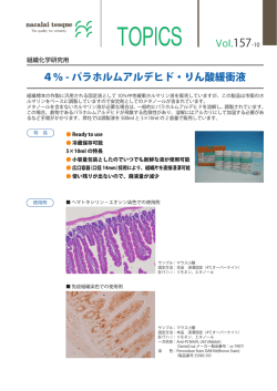 4％ - パラホルムアルデヒド・りん酸緩衝液