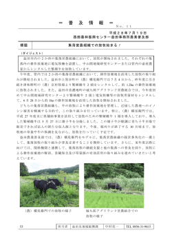 ＝ 普 及 情 報 ＝