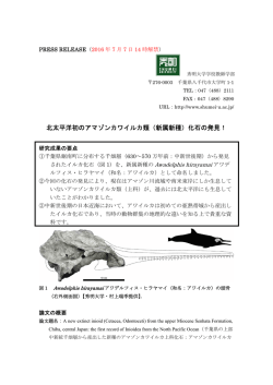 北太平洋初のアマゾンカワイルカ類（新属新種）化石の発見！