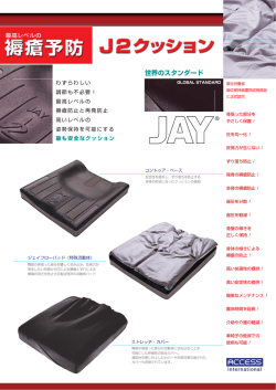世界のスタンダード - アクセスインターナショナル