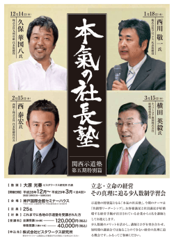 詳細（PDF） - ビスタワークス研究所