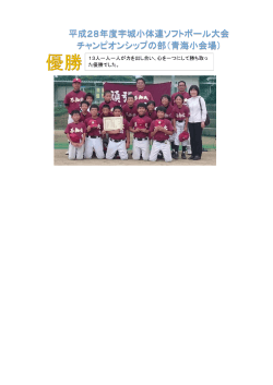 平成28年度宇城小体連ソフトボール大会 チャンピオンシップの部（青海