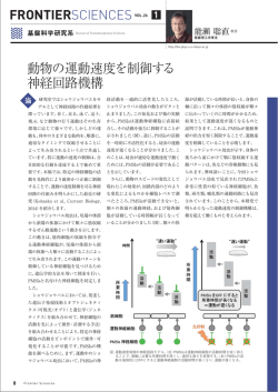 動物の運動速度を制御する 神経回路機構 FRONTIERSCIENCES