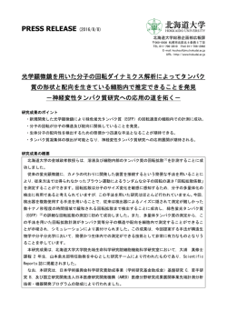 （先端生命科学研究院 教授 金城政孝）（PDF）