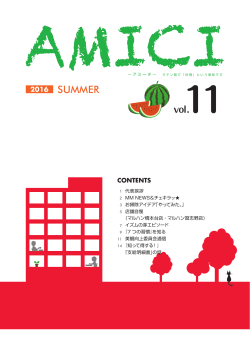 AMICI Vol.11 - エムエムインターナショナル