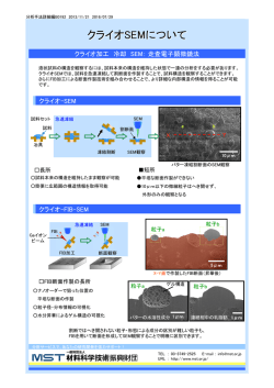 この分析事例のPDFファイルを開く