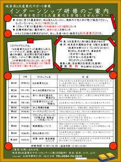 （表面、開催概要部分）＜PDF