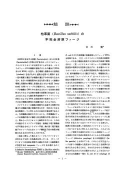 枯草菌 (Bacillus subtilis) の不完全溶原ファージ