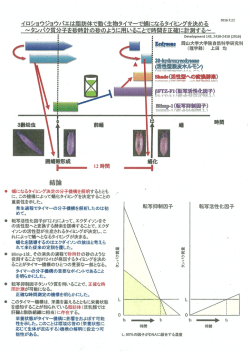 添付資料1