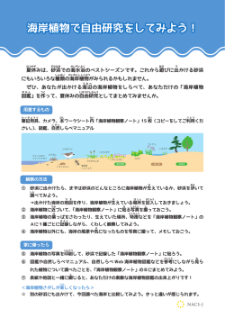 自由研究ワークシート 一括ダウンロード