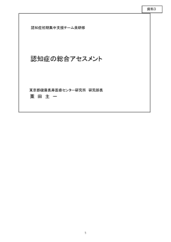認知症の総合アセスメント（PDF：10687KB）