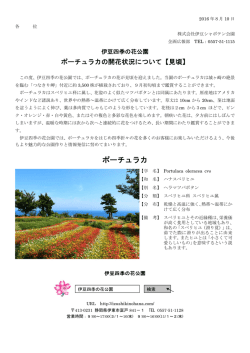 ポーチュラカ - 伊豆シャボテン公園