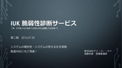 IUK 脆弱性診断サービス