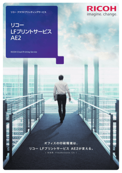 リコー LFプリントサービス AE2