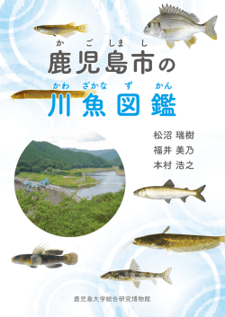 松沼 瑞樹 福井 美乃 本村 浩之