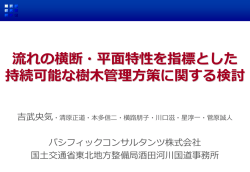 流れの横断・平面特性を指標とした持続可能な樹木管理方策に関する検討