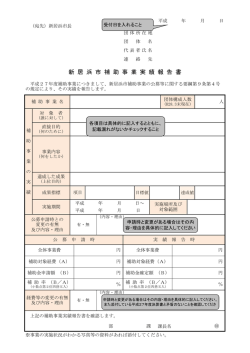 （実績報告書） [PDFファイル／61KB]