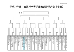 平成28年度 白鷺杯争奪学童軟式野球大会（学童）