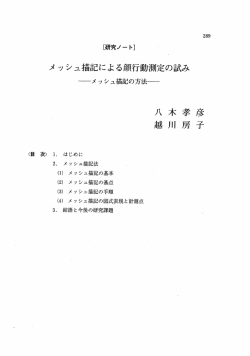 メッシュ描記の方法