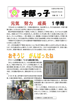 第 7 号