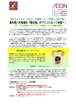 平成 28年熊本地震
