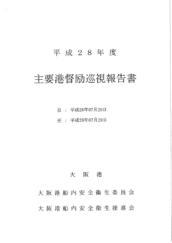 Page 1 平成28年度 主要港督励巡視報告書 自 : 平成28年07月26日 至