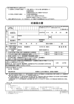 妊娠届出書（PDF：87KB）