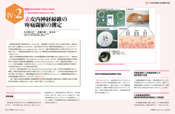 表皮内神経線維の 疼痛閾値の測定