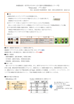 Gram stain グラム染色