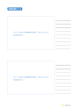 写真記録シート