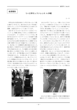 リハ工学カンファレンス in 沖縄 会員報告