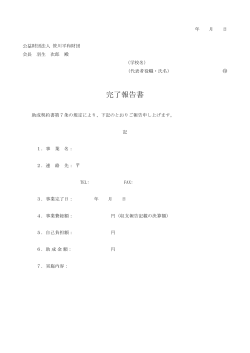 完了報告書 - 笹川平和財団