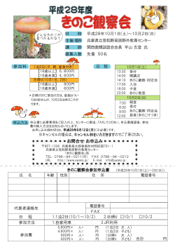 きのこ観察会 きのこ観察会 こ観察会