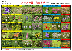 高山樹林園 約 30種類 ロックガーデン 約 20種類 2016 年 8月 1日