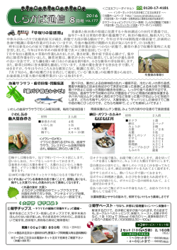 表面 - しらかば農園