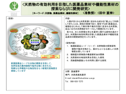 概要はこちら