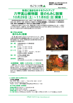 六甲高山植物園 夜のもみじ散策 - 阪急阪神ホールディングス株式会社
