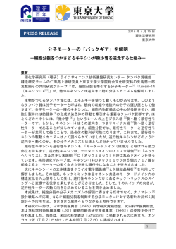 分子モーターの「バックギア」を解明 - 東京大学 大学院総合文化研究科