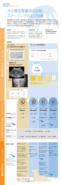 IRIS 犬の慢性腎臓病の診断